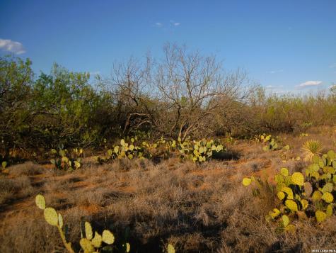 Tbd Fm 186 Carrizo Springs TX 78834