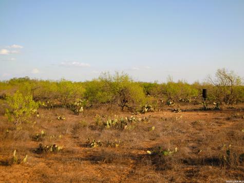 Tbd Fm 186 Carrizo Springs TX 78834