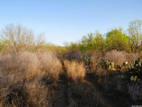 Tbd Fm 186 Carrizo Springs TX 78834