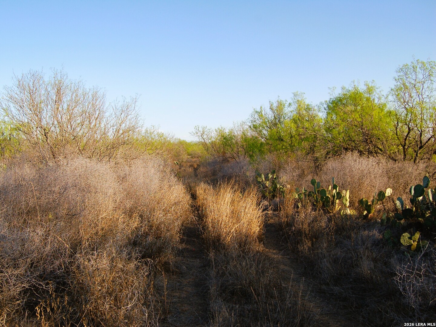 Tbd Fm 186 Carrizo Springs TX 78834