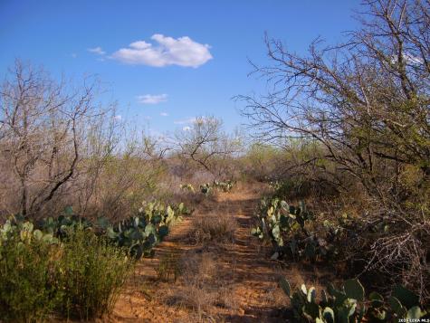 Tbd Fm 186 Carrizo Springs TX 78834