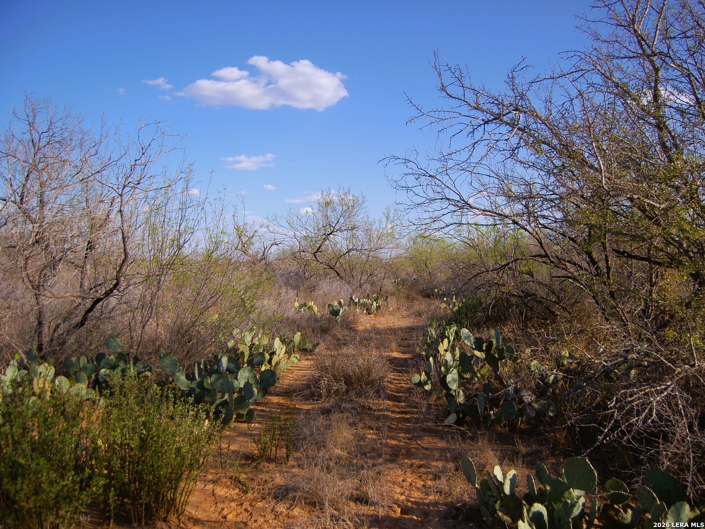 Tbd Fm 186 Carrizo Springs TX 78834