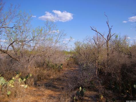 Tbd Fm 186 Carrizo Springs TX 78834