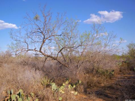 Tbd Fm 186 Carrizo Springs TX 78834