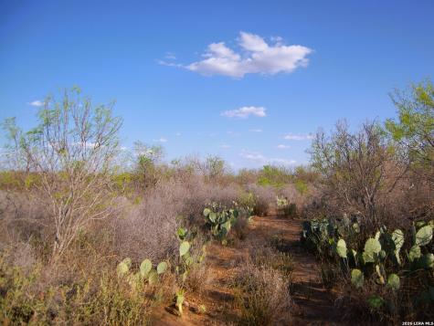 Tbd Fm 186 Carrizo Springs TX 78834