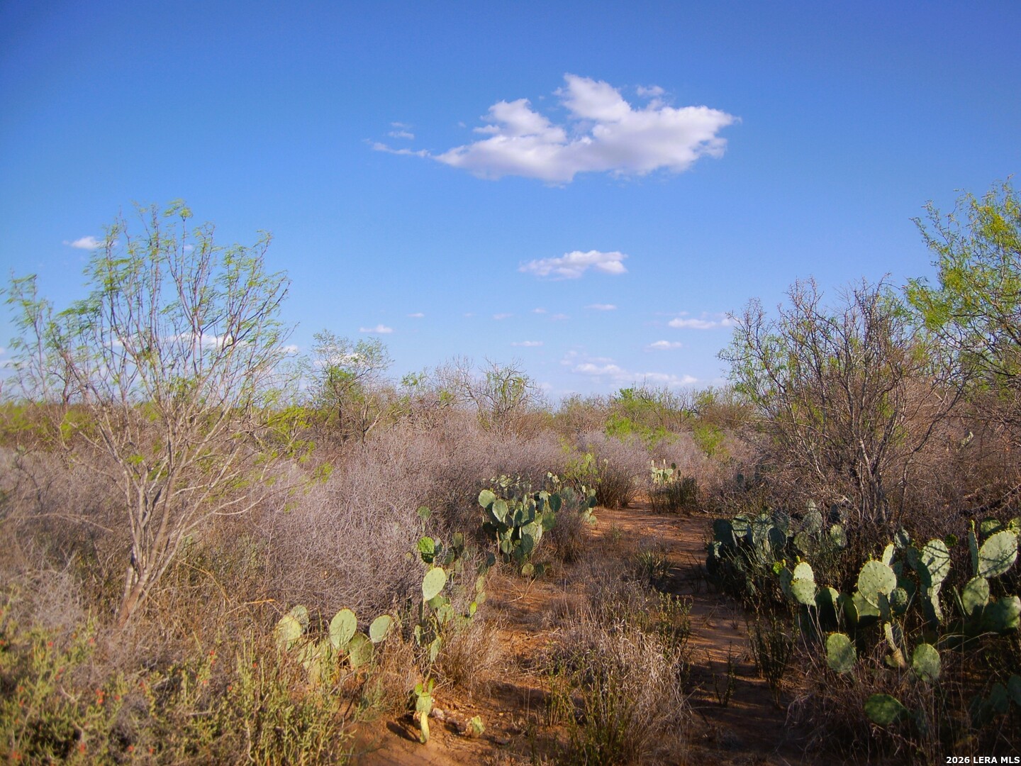 Tbd Fm 186 Carrizo Springs TX 78834
