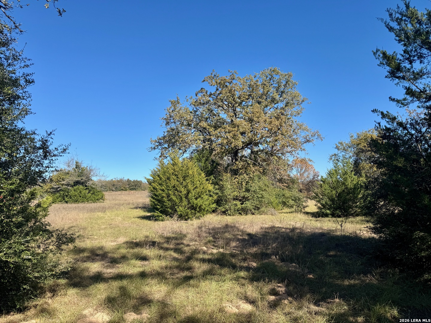 0 Cr 328 Milano TX 76556