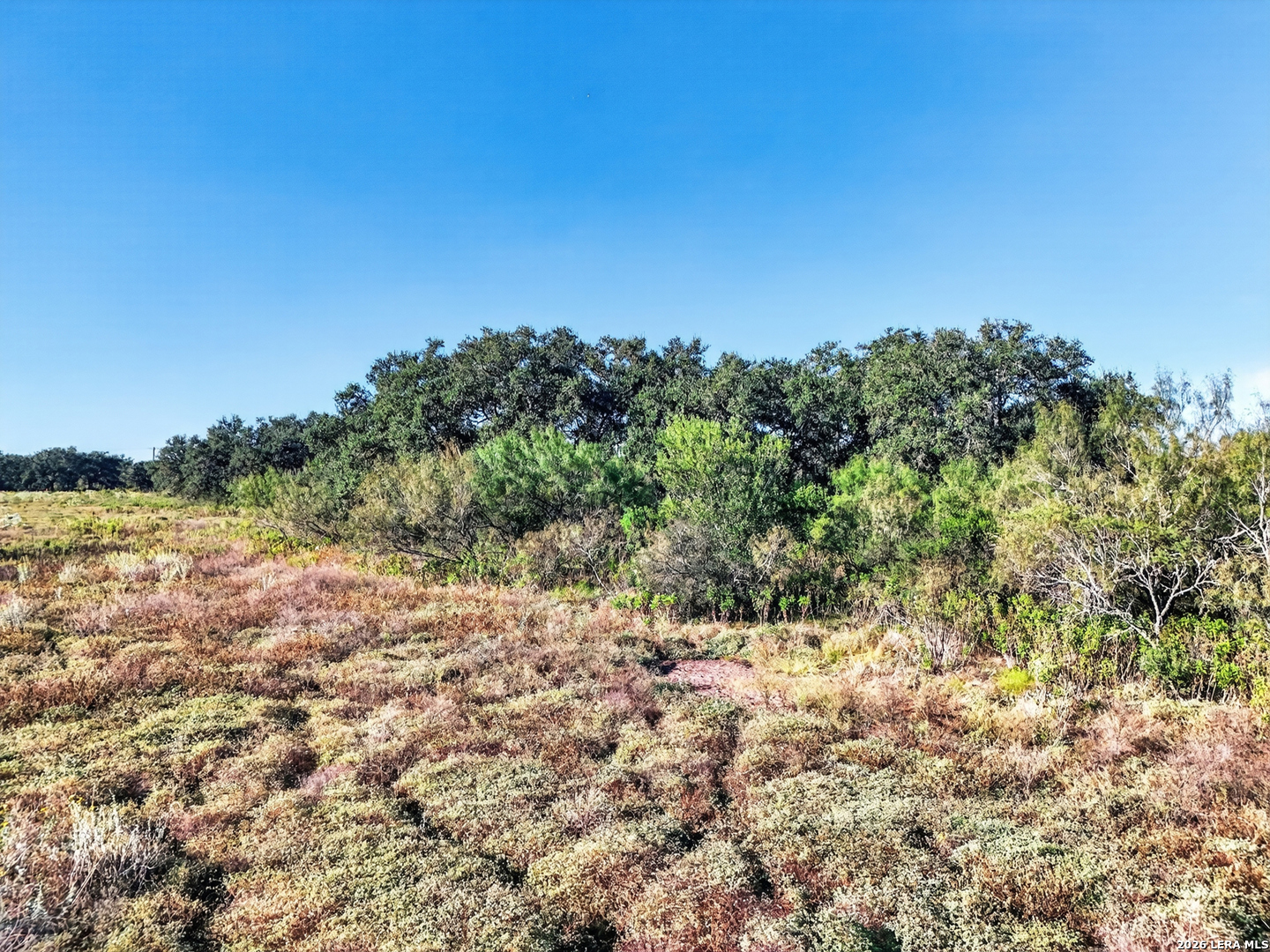 Lot 134 Fm 1796 Dhanis TX 78850