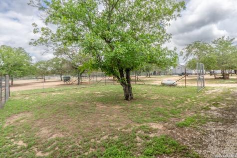 24 Sir David Lane Poteet TX 78065