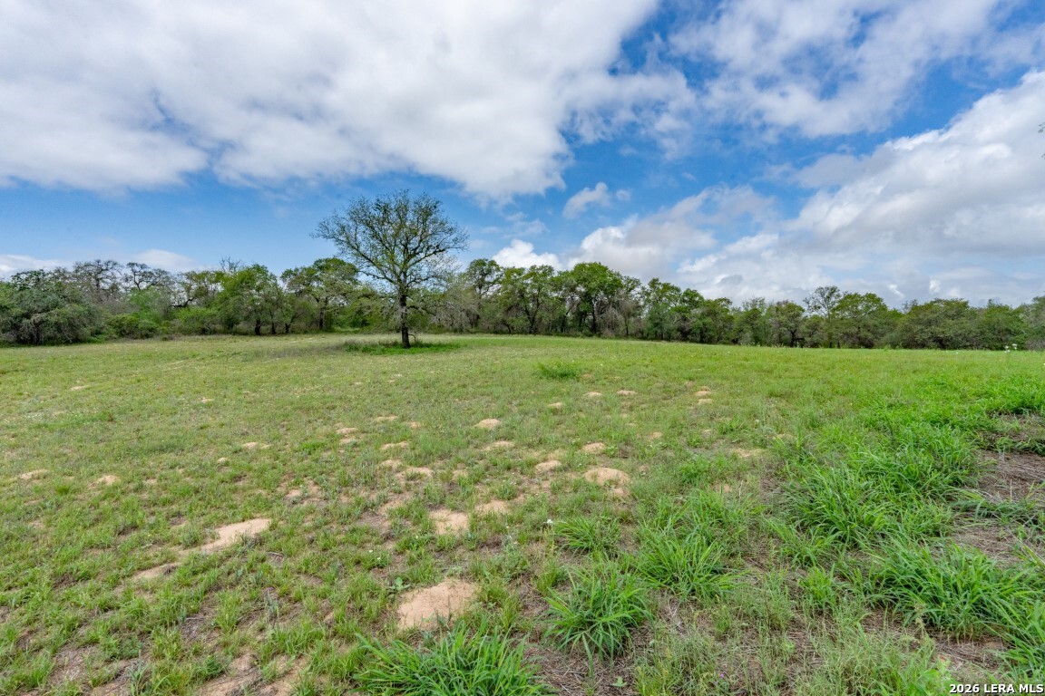 24 Sir David Lane Poteet TX 78065