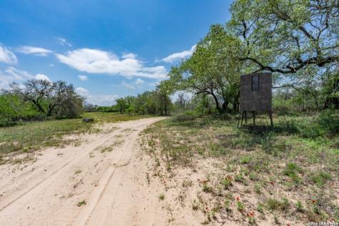 24 Sir David Lane Poteet TX 78065