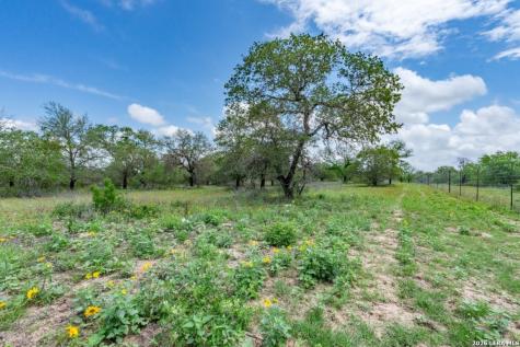 24 Sir David Lane Poteet TX 78065