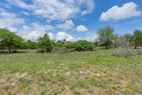 24 Sir David Lane Poteet TX 78065