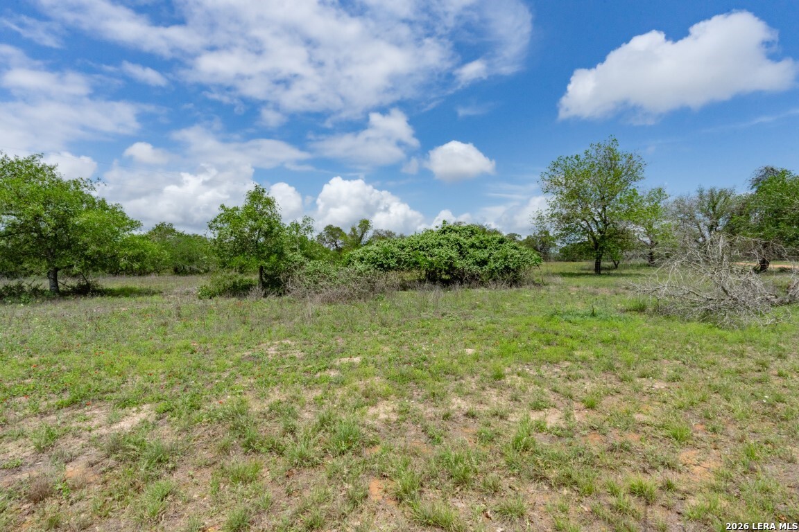 24 Sir David Lane Poteet TX 78065