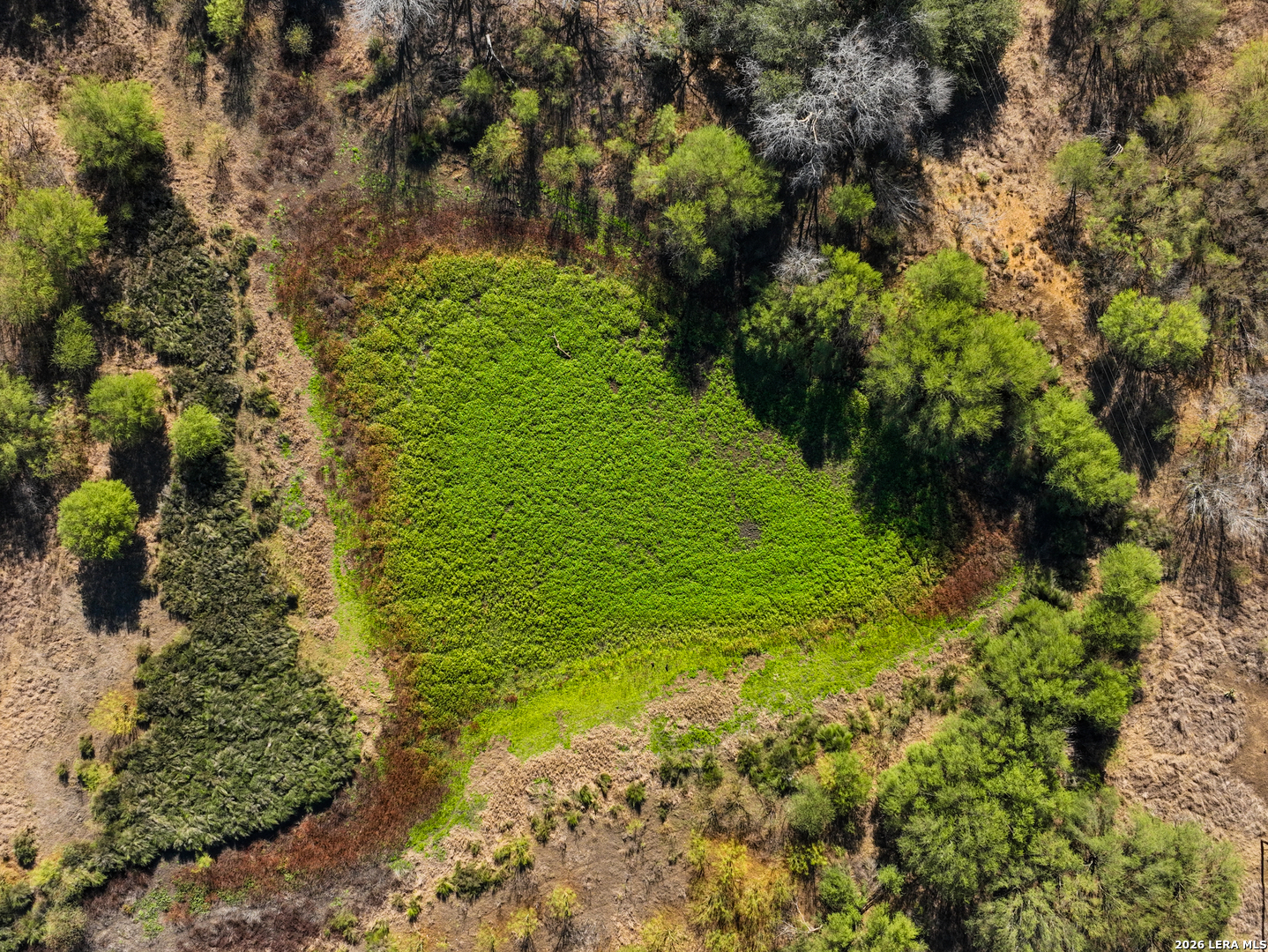 +/- 32.04 Acres Bluntzer Jourdanton TX 78026