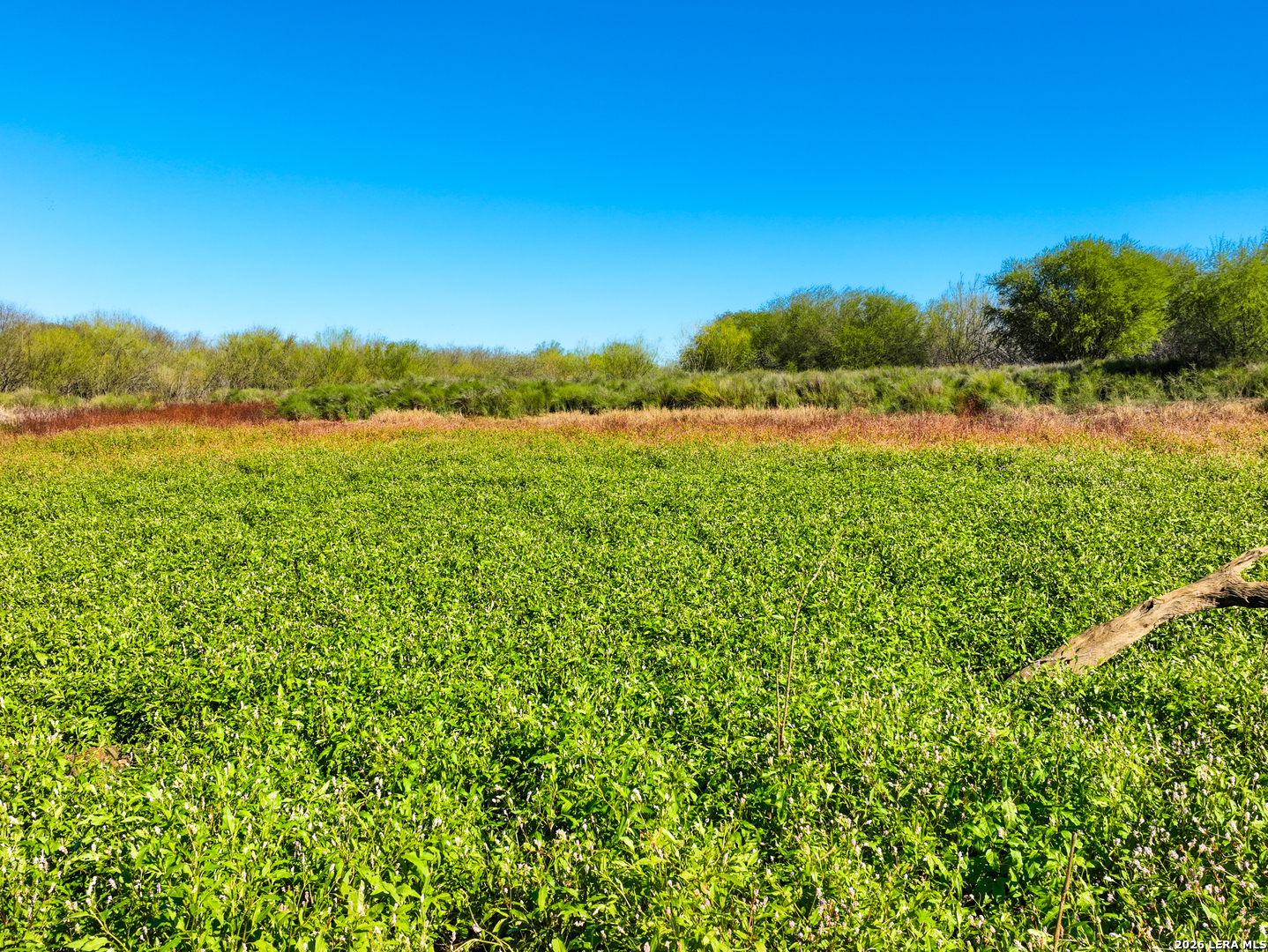 +/- 32.04 Acres Bluntzer Jourdanton TX 78026