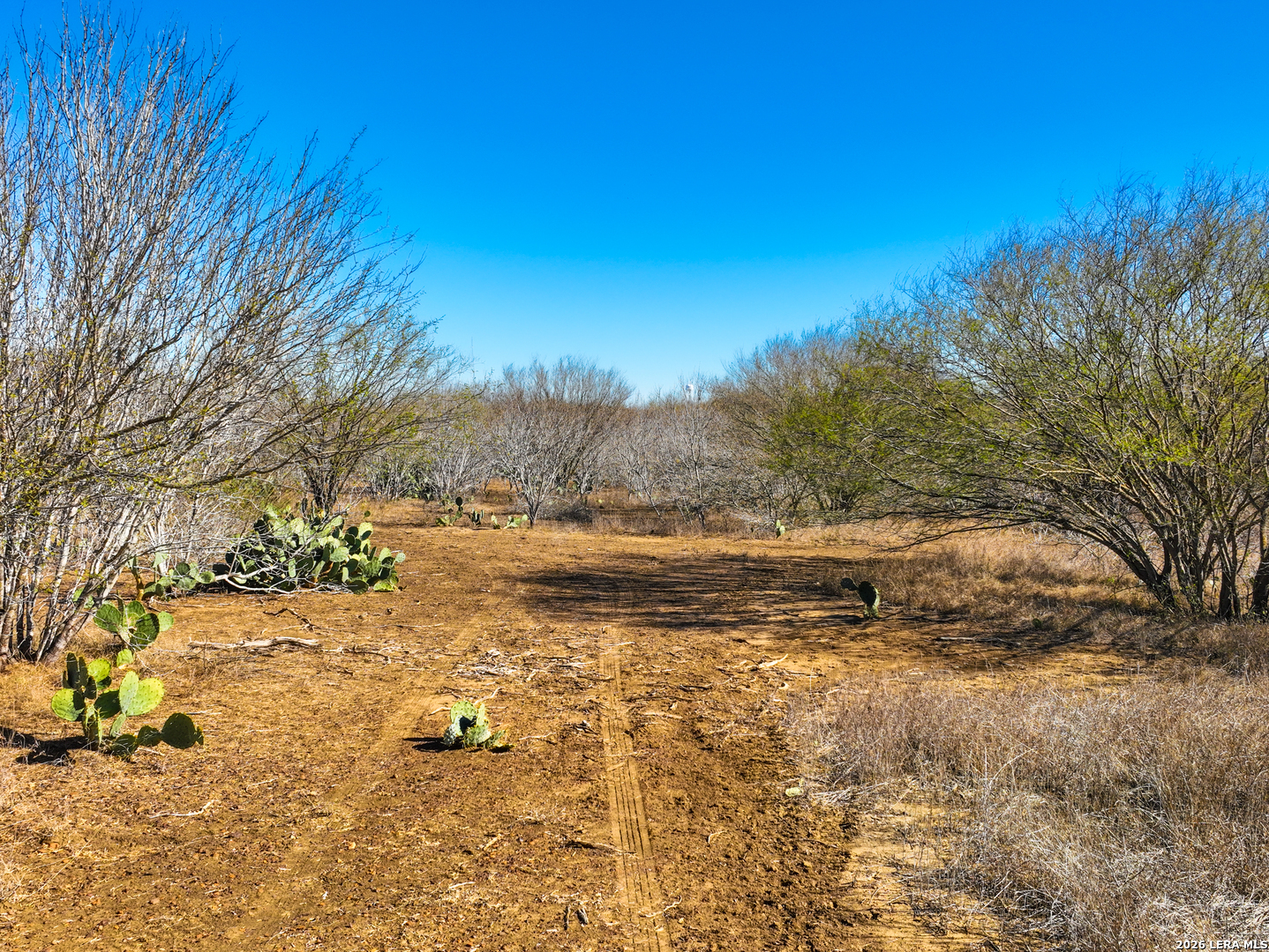 +/- 32.04 Acres Bluntzer Jourdanton TX 78026