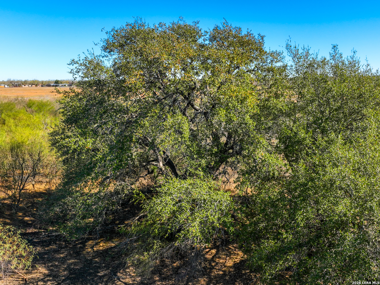 +/- 32.04 Acres Bluntzer Jourdanton TX 78026