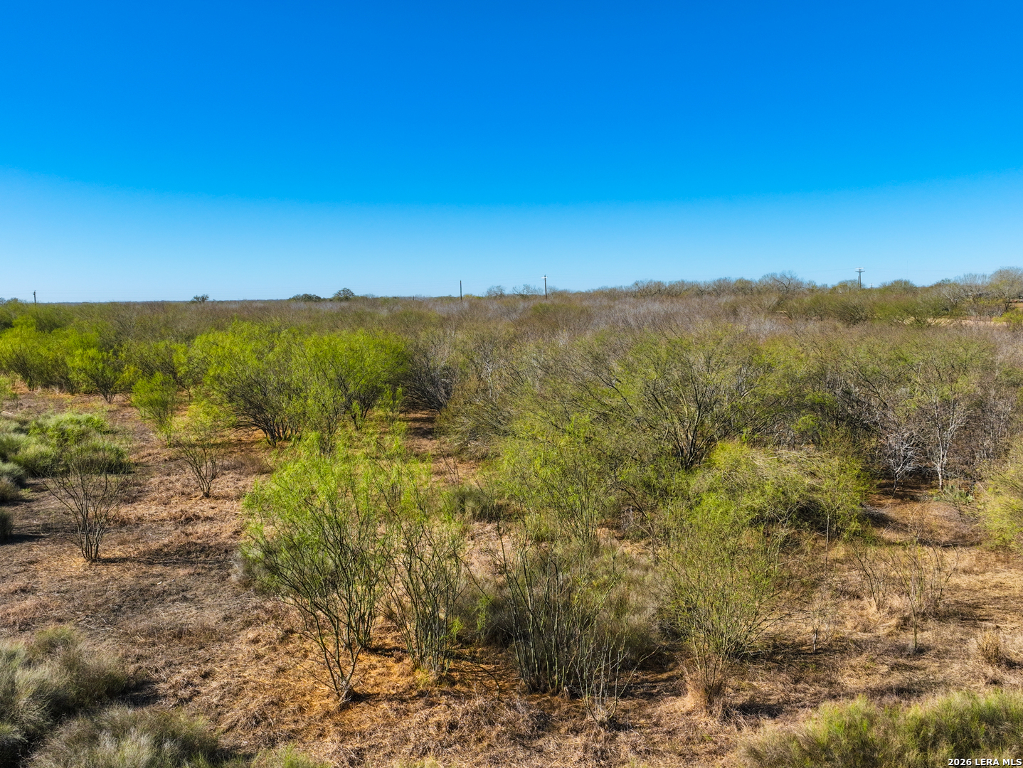 +/- 32.04 Acres Bluntzer Jourdanton TX 78026