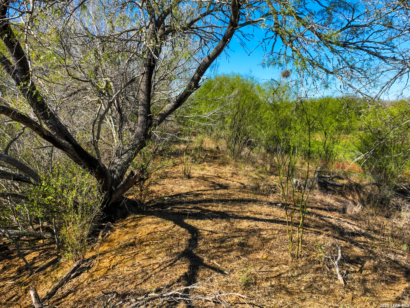 +/- 32.04 Acres Bluntzer Jourdanton TX 78026