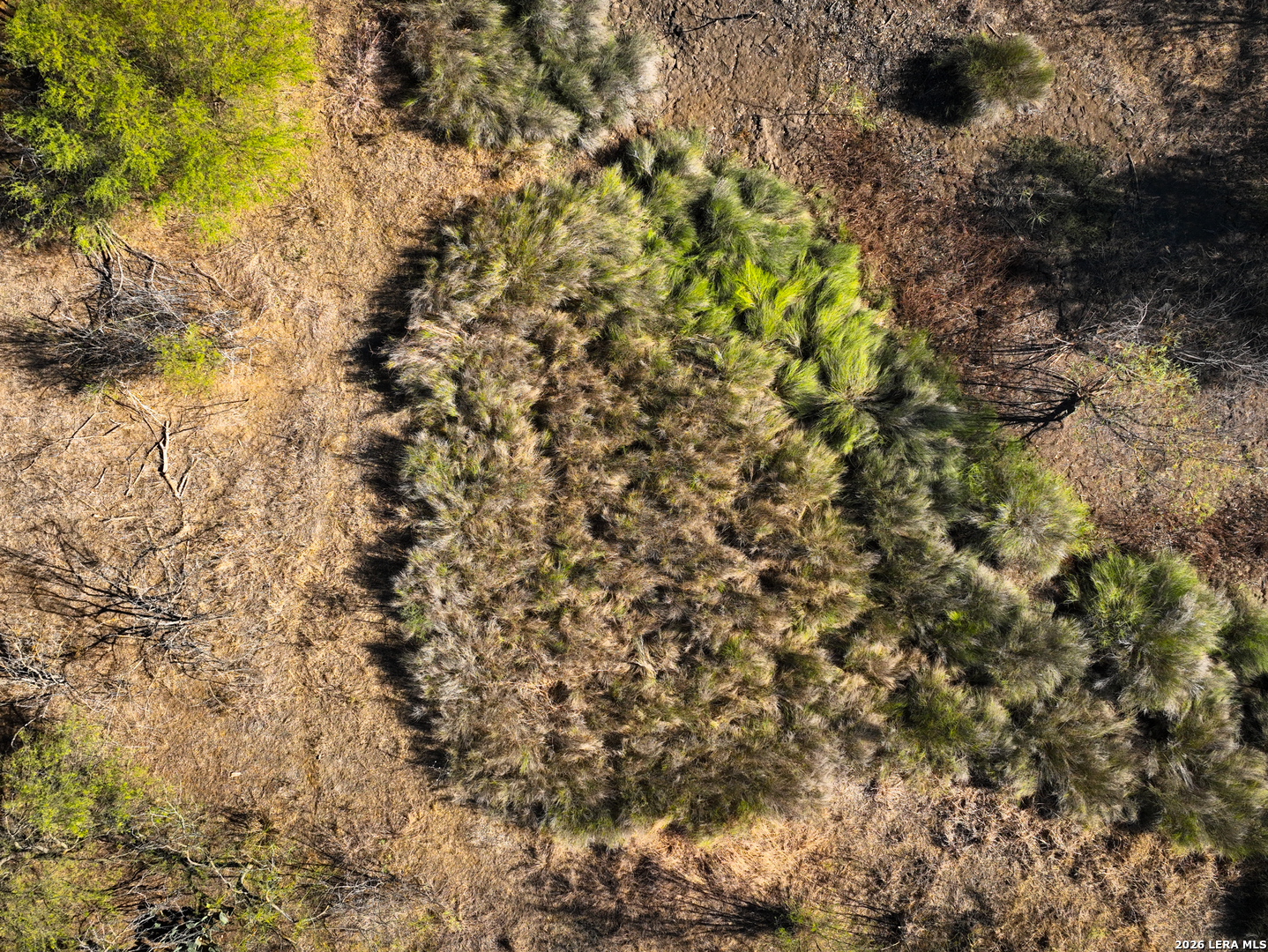 +/- 32.04 Acres Bluntzer Jourdanton TX 78026
