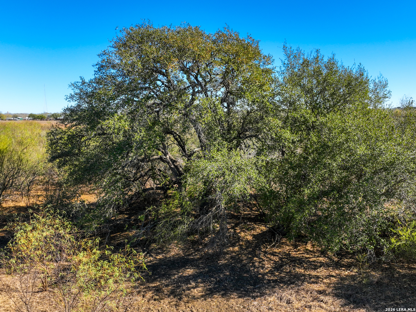 +/- 32.04 Acres Bluntzer Jourdanton TX 78026