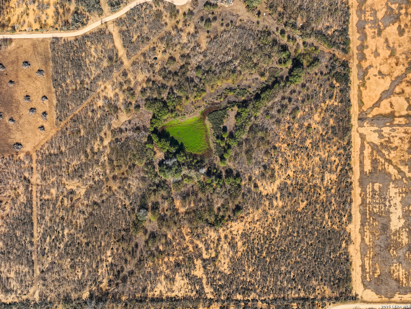 +/- 32.04 Acres Bluntzer Jourdanton TX 78026