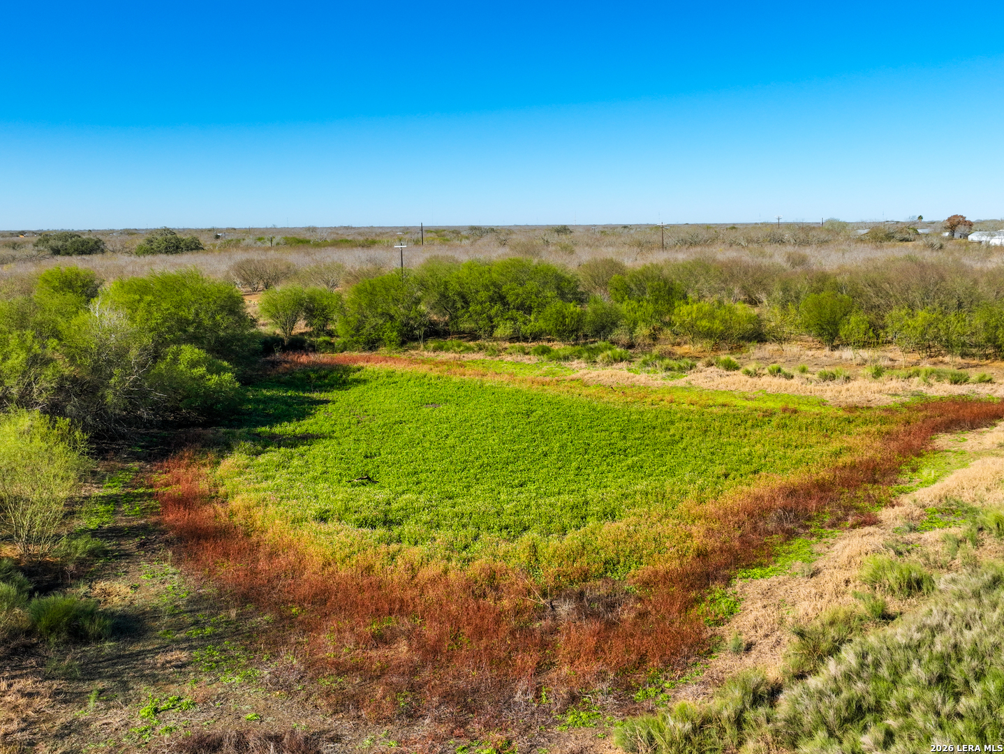 +/- 32.04 Acres Bluntzer Jourdanton TX 78026