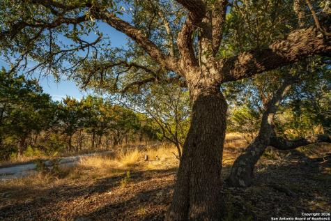 Tbd Floyd Van Hoozer Road West Kerrville TX 78028