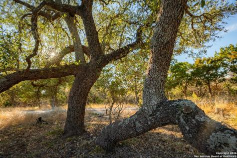 Tbd Floyd Van Hoozer Road West Kerrville TX 78028