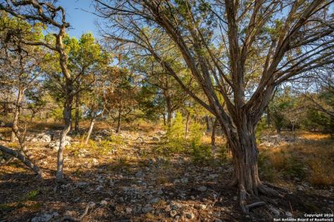 Tbd Floyd Van Hoozer Road West Kerrville TX 78028