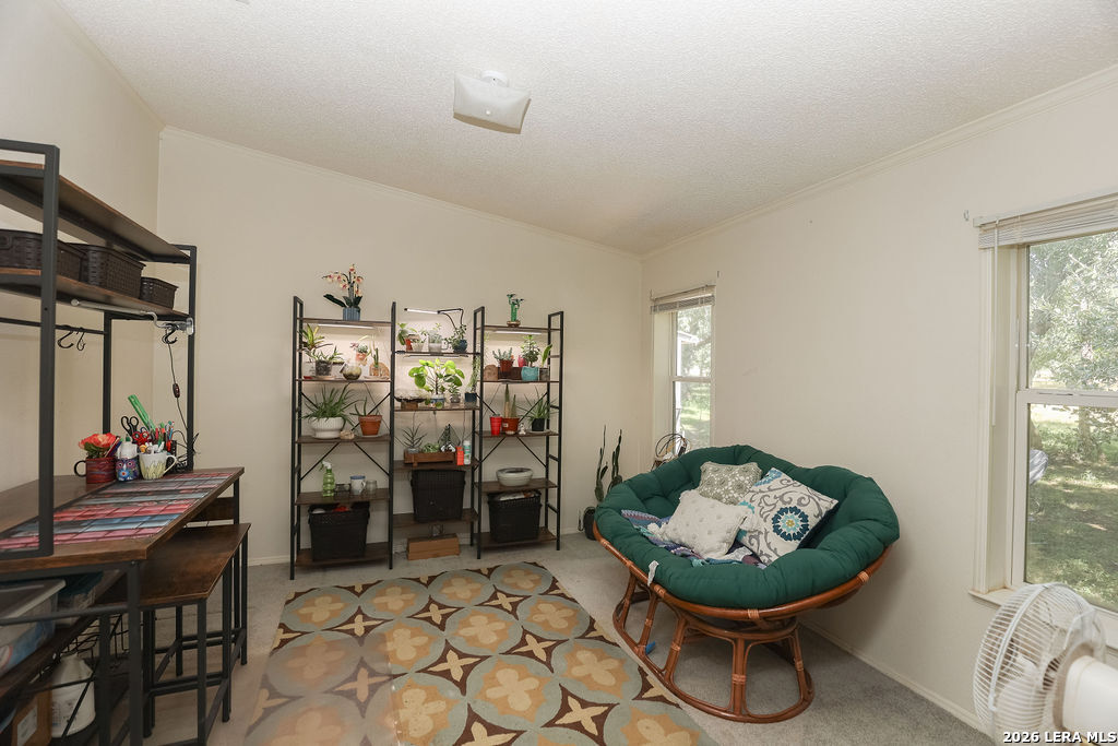 16658 N Us Highway 377 London TX 76854