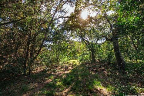 2581 Patterson Creek Road Leakey TX 78873