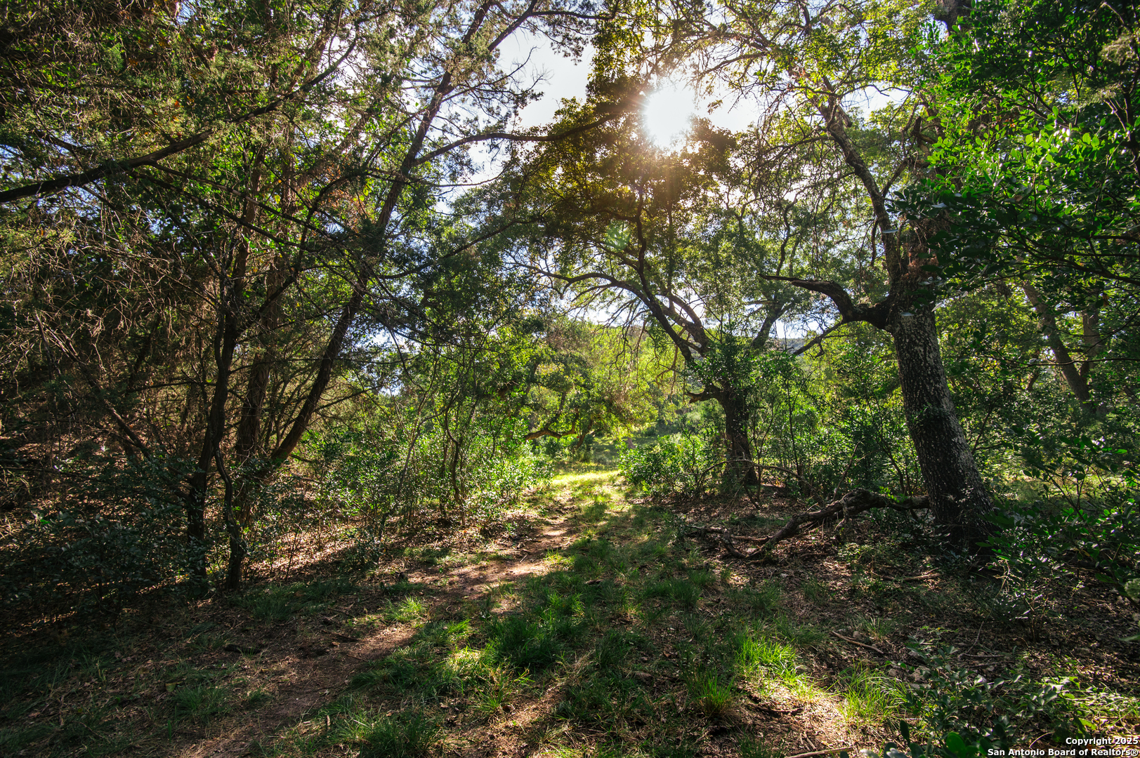 2581 Patterson Creek Road Leakey TX 78873