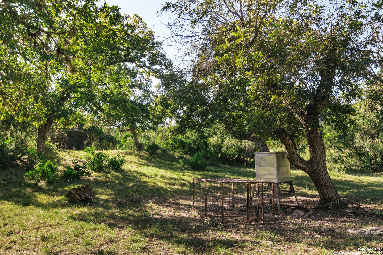 2581 Patterson Creek Road Leakey TX 78873