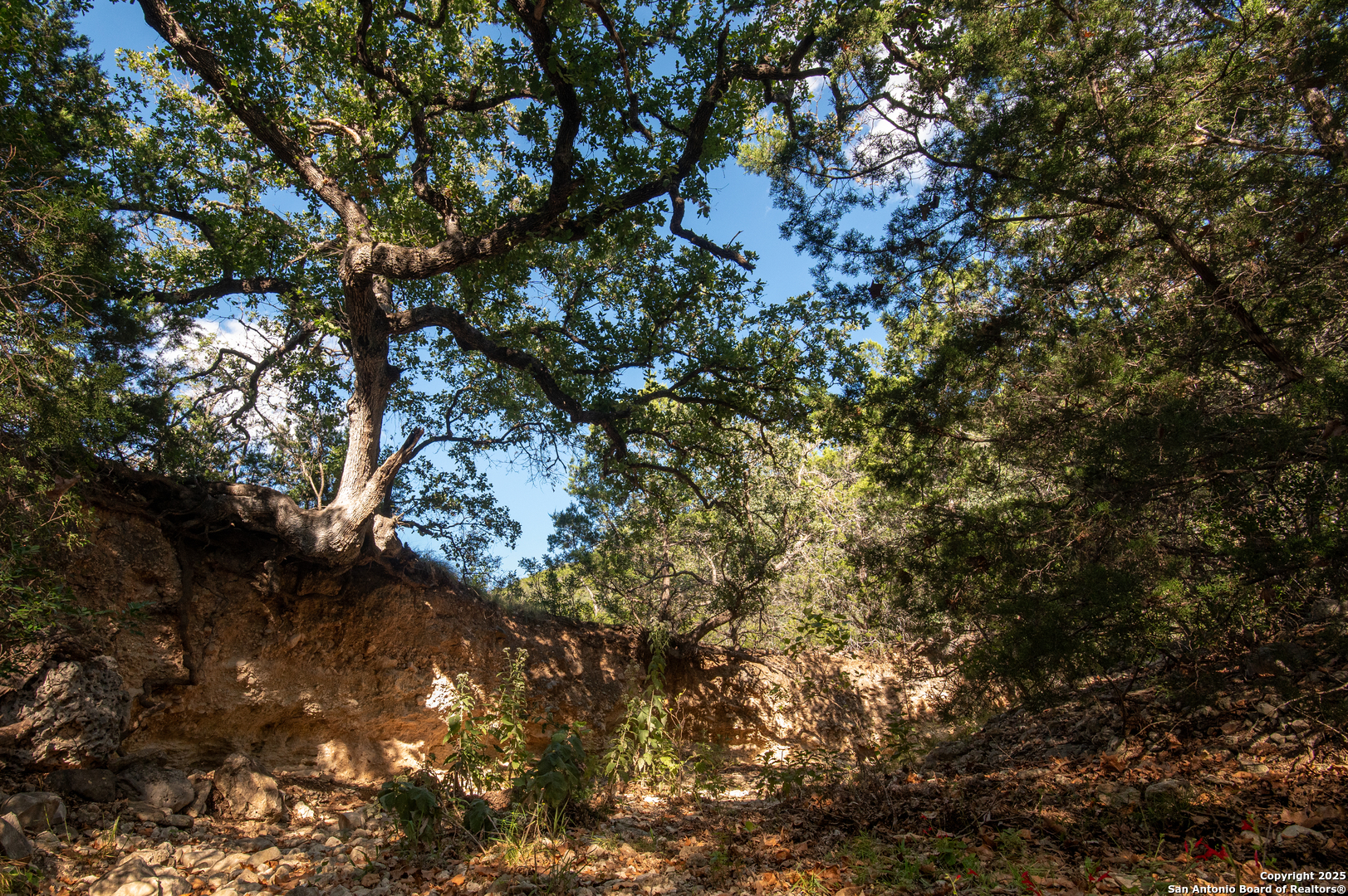 2581 Patterson Creek Road Leakey TX 78873
