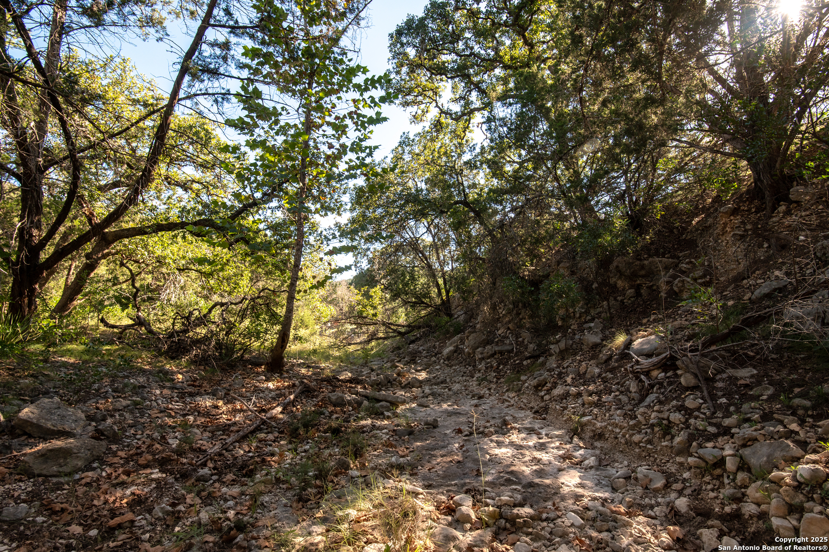 2581 Patterson Creek Road Leakey TX 78873