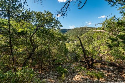 2581 Patterson Creek Road Leakey TX 78873