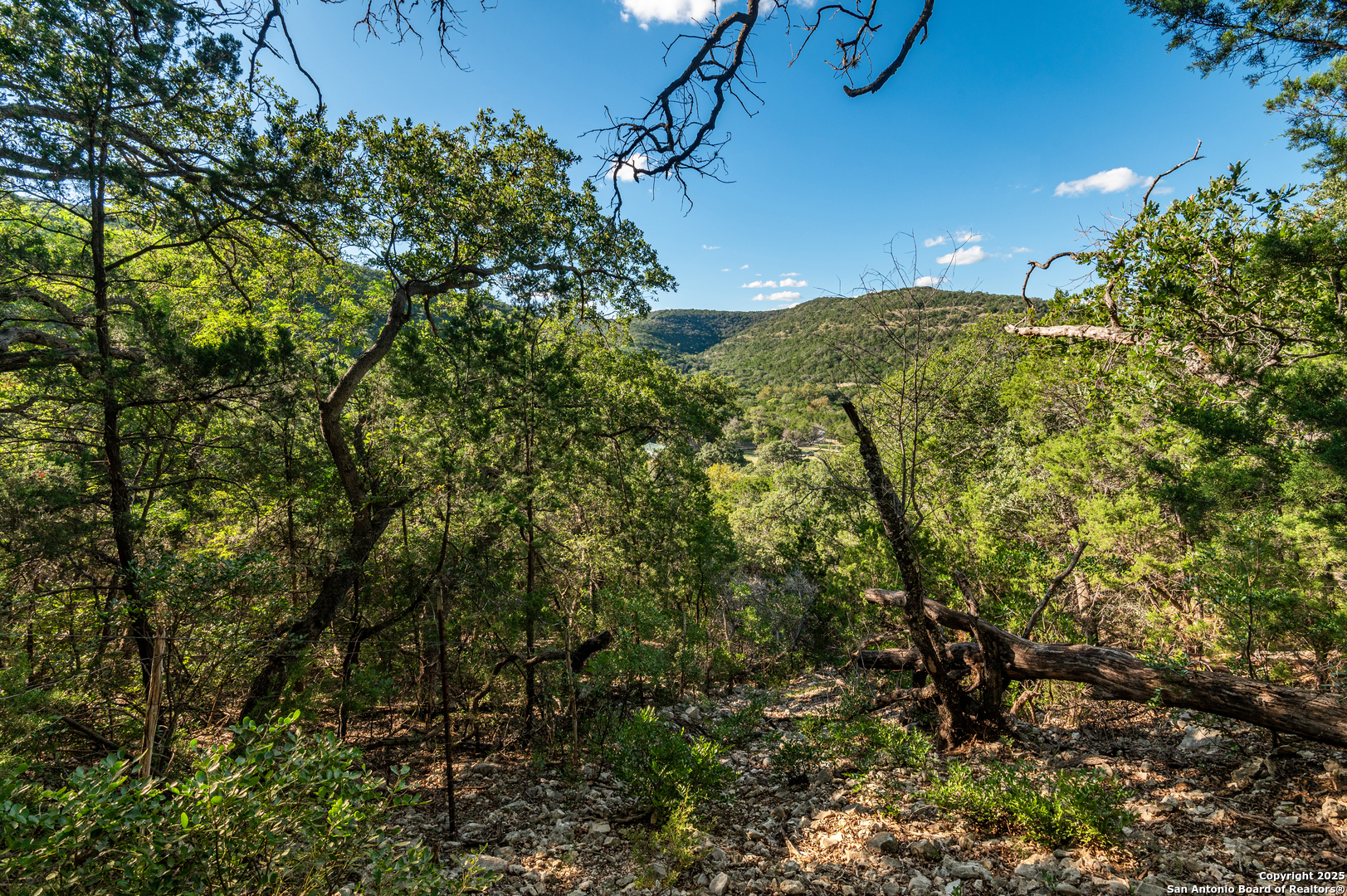 2581 Patterson Creek Road Leakey TX 78873