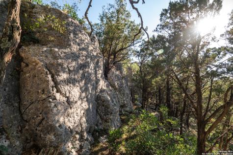 2581 Patterson Creek Road Leakey TX 78873