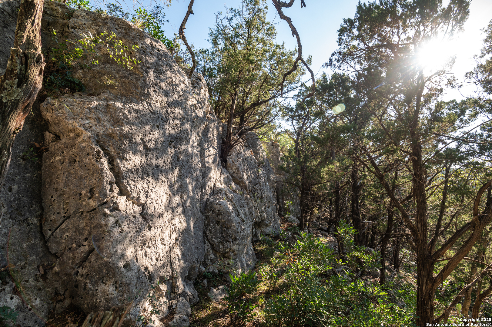 2581 Patterson Creek Road Leakey TX 78873