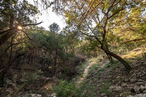 2581 Patterson Creek Road Leakey TX 78873