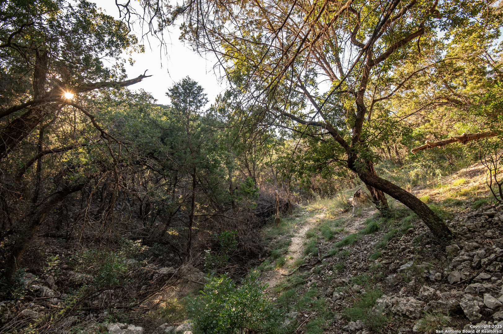 2581 Patterson Creek Road Leakey TX 78873