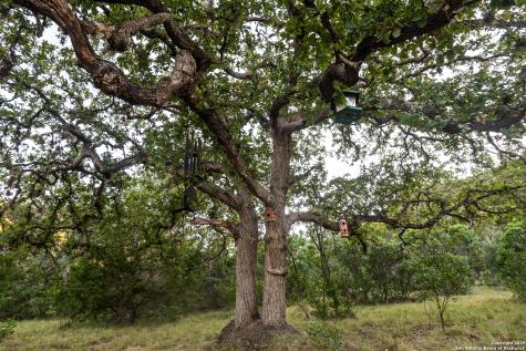 2581 Patterson Creek Road Leakey TX 78873