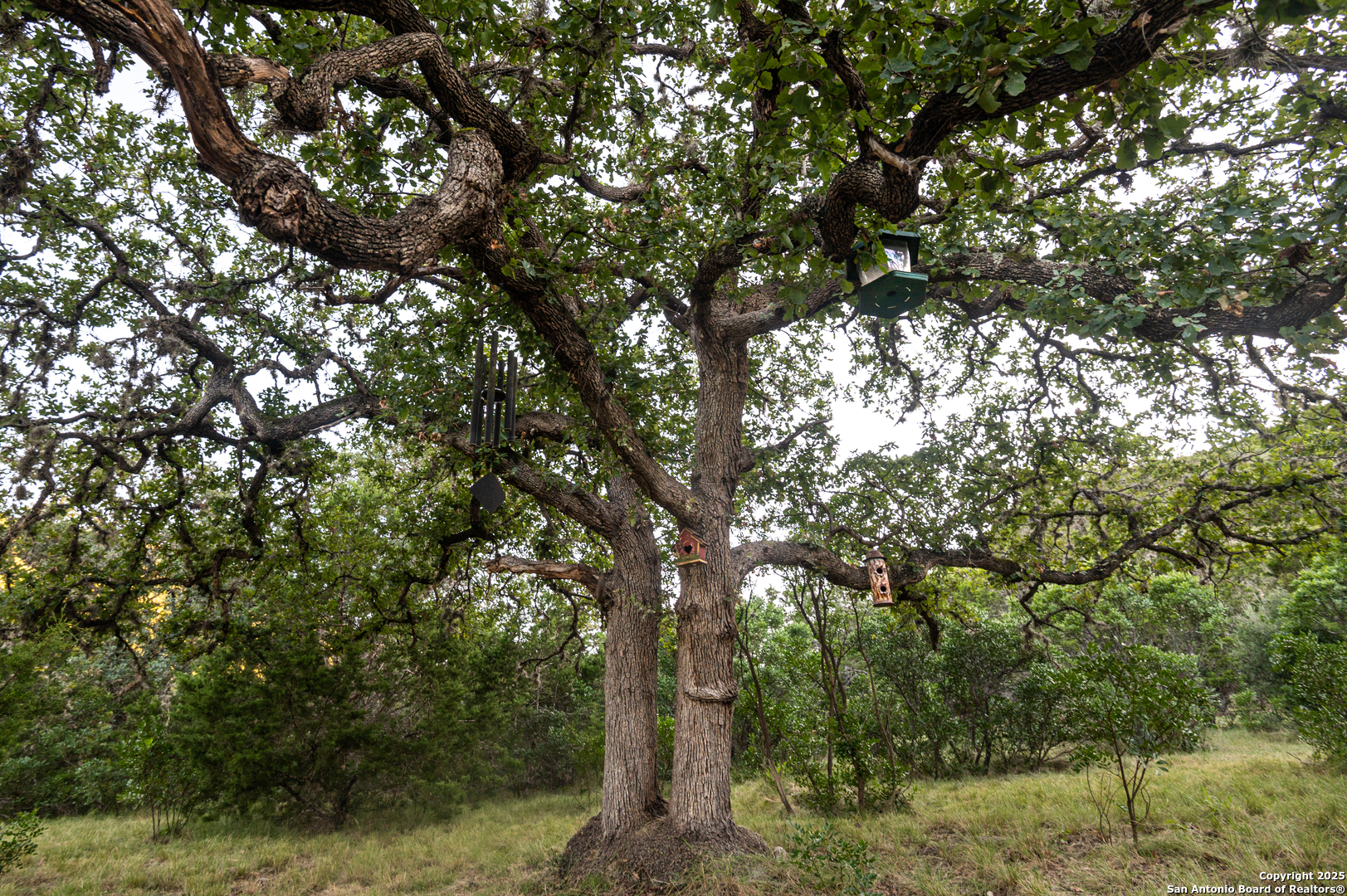 2581 Patterson Creek Road Leakey TX 78873