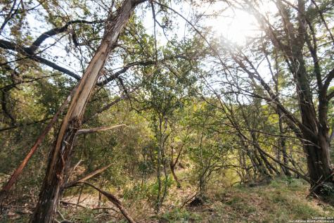 2581 Patterson Creek Road Leakey TX 78873
