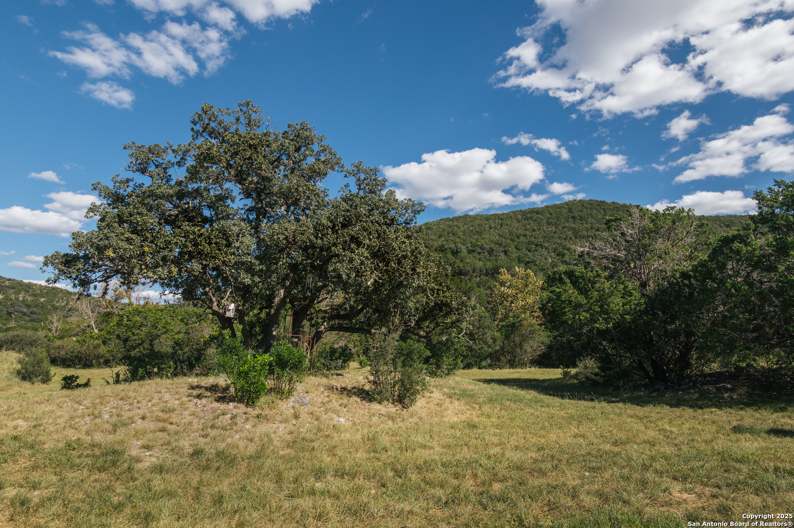 2581 Patterson Creek Road Leakey TX 78873
