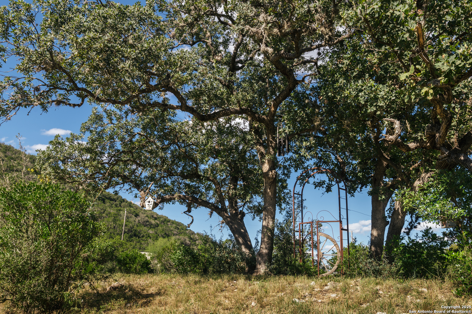 2581 Patterson Creek Road Leakey TX 78873