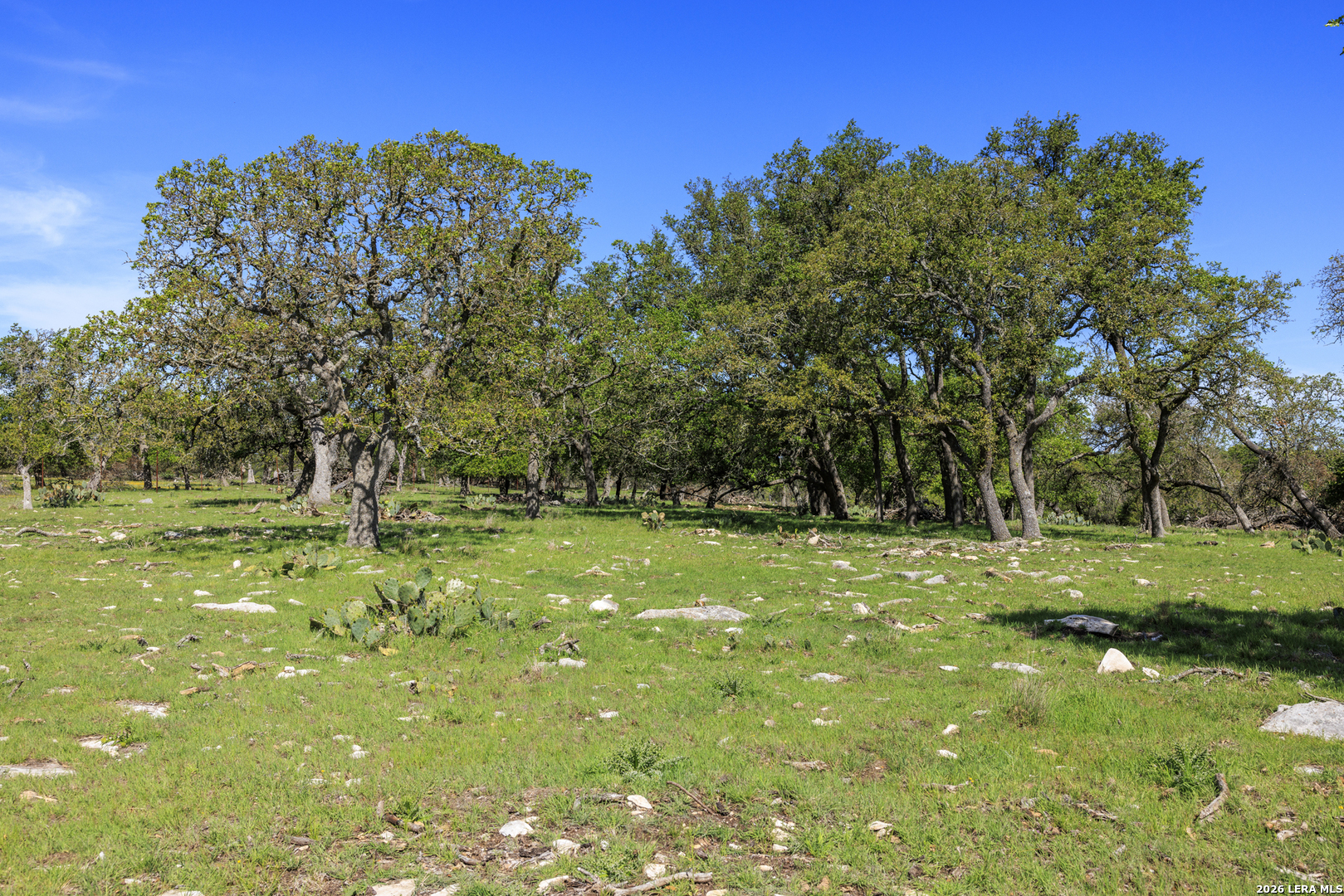 257 Dally Fredericksburg TX 78624