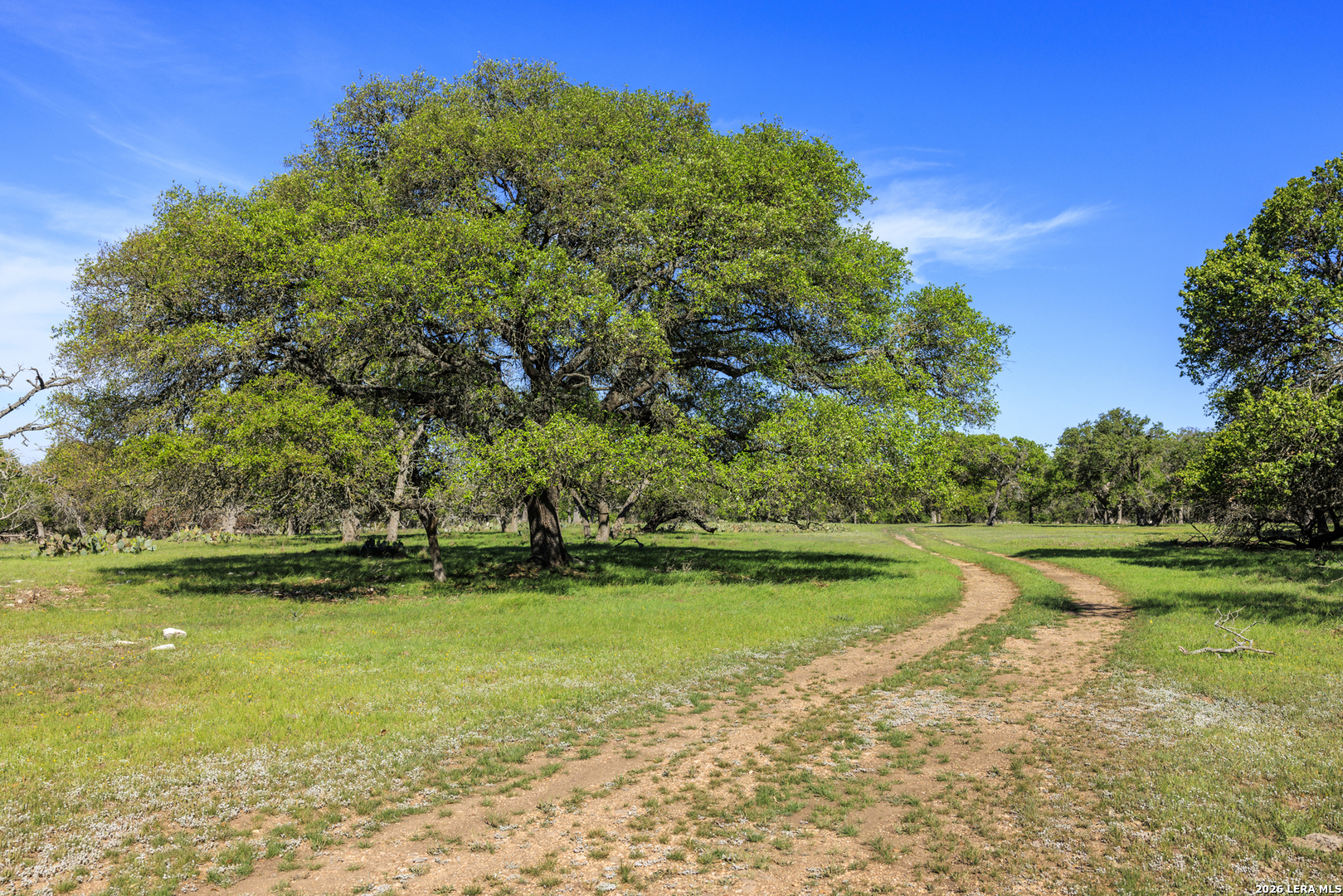 257 Dally Fredericksburg TX 78624